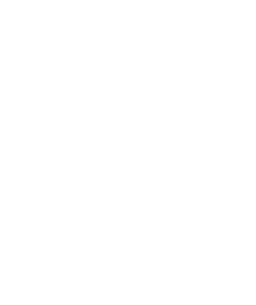 icona-italia icona-italia