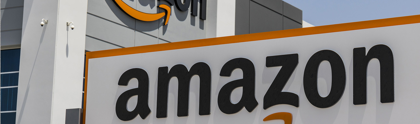 Amazon è il nuovo volto del capitalismo